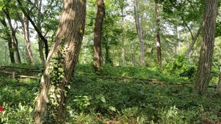 VID_20190911_132550.mp4