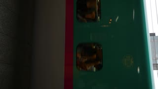 VID_20190913_110849.mp4