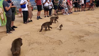 VID_20190918_143512.mp4