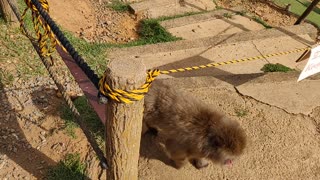 VID_20190918_144052.mp4