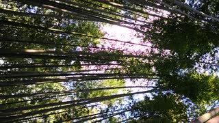 VID_20190918_160223.mp4