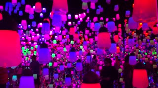 VID_20190926_123753.mp4