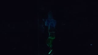 VID_20190926_130015.mp4