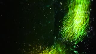 VID_20190926_130438.mp4